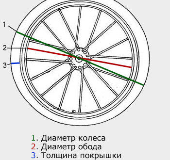 Come scoprire il diametro della ruota della vostra bicicletta: come misurarlo