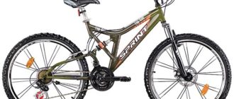 Ashanbikes: cosa sono, vale la pena di acquistarle