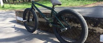 Bicicletta BMX: cos'è, varianti