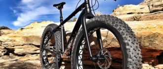 Fatbike: cos'è, a cosa serve, come sceglierla