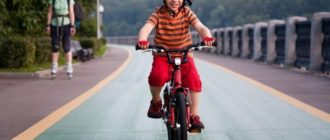 Come insegnare al bambino ad andare in bicicletta: regole di sicurezza, suggerimenti