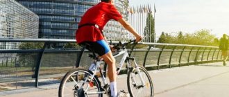 Come guidare correttamente la bicicletta sulla carreggiata