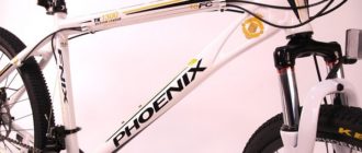 Phoenix bike - pro e contro, consigli per la scelta