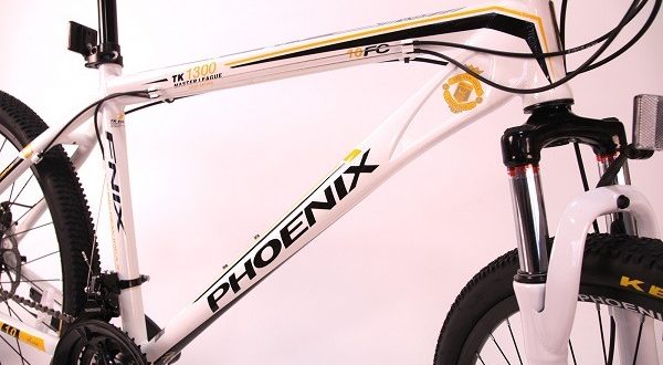 Phoenix bike - pro e contro, consigli per la scelta