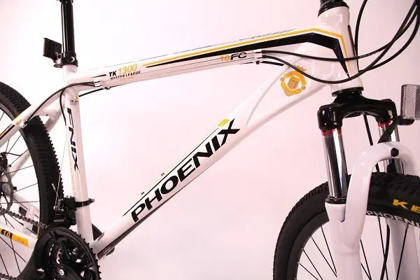 Bicicletta Phoenix