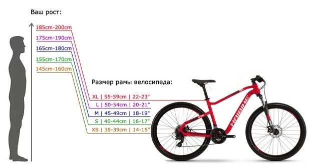 Dimensioni del telaio della bicicletta in base all'altezza: come trovarlo e montarlo, tabella