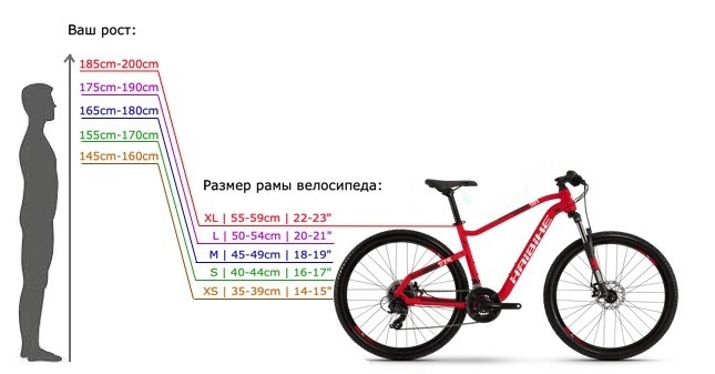 le dimensioni del telaio della bicicletta in base all'altezza